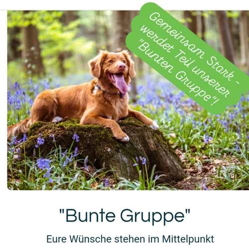 Hundeauslaufgebiet-DUO MiTo DOGSCLUB-Bild