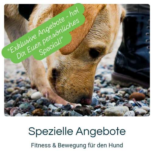 Hundeauslaufgebiet-DUO MiTo DOGSCLUB-Bild