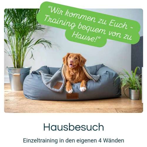 Hundeauslaufgebiet-DUO MiTo DOGSCLUB-Bild