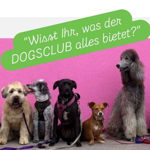 Hundeauslaufgebiet-DUO MiTo DOGSCLUB-Bild