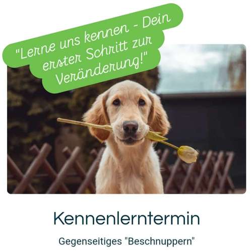 Hundeauslaufgebiet-DUO MiTo DOGSCLUB-Bild