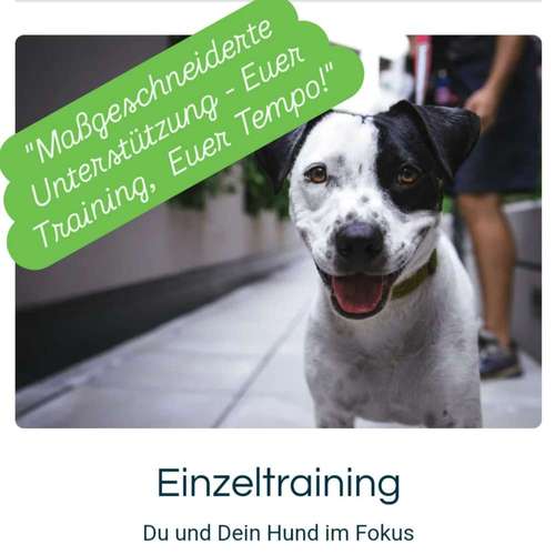 Hundeauslaufgebiet-DUO MiTo DOGSCLUB-Bild
