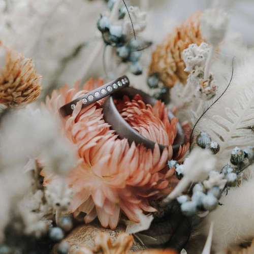 Hundeauslaufgebiet-Sarah Genuit Fotografie-Bild