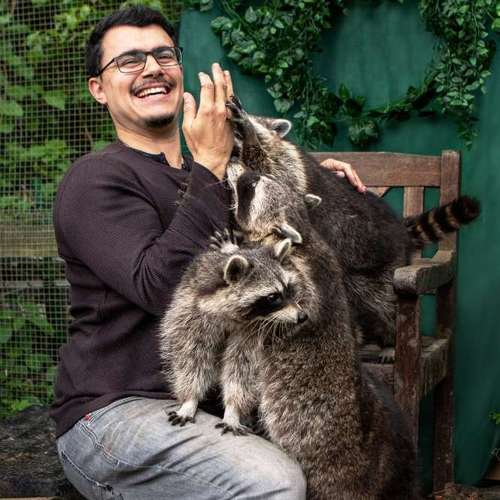 Hundeauslaufgebiet-Sarah Genuit Fotografie-Bild