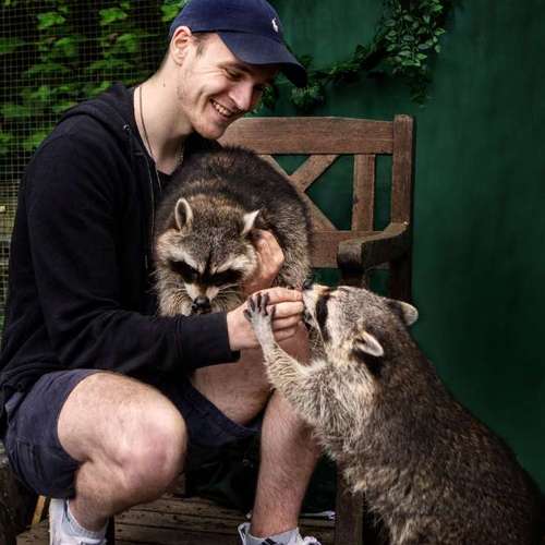 Hundeauslaufgebiet-Sarah Genuit Fotografie-Bild
