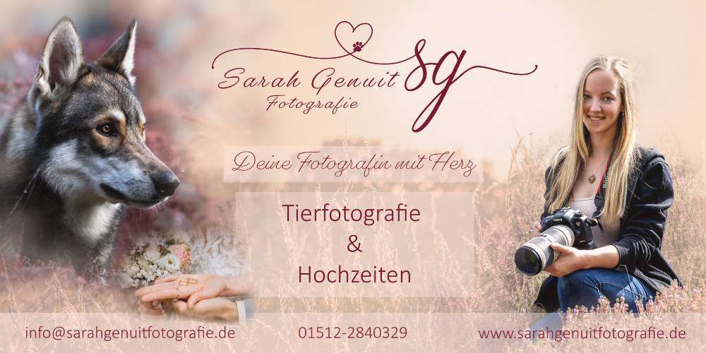 Hundeauslaufgebiet-Sarah Genuit Fotografie-Bild