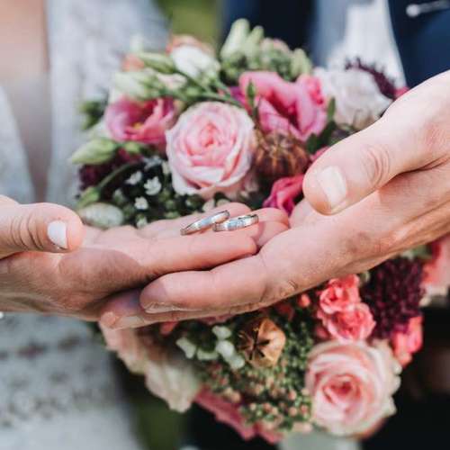 Hundeauslaufgebiet-Sarah Genuit Fotografie-Bild