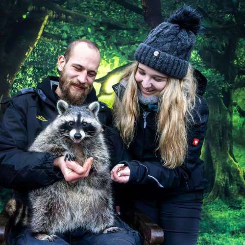 Hundeauslaufgebiet-Sarah Genuit Fotografie-Bild