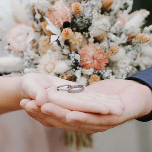 Hundeauslaufgebiet-Sarah Genuit Fotografie-Bild