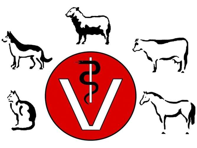 Hundeauslaufgebiet-Dr. Josef Moos-Bild