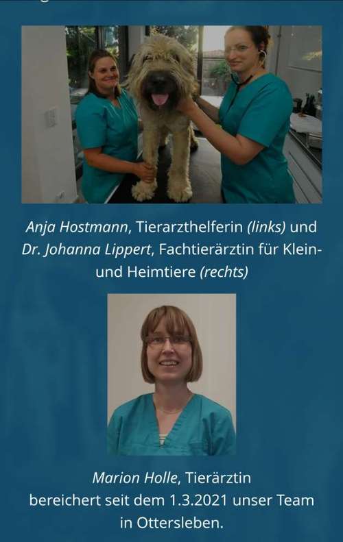 Hundeauslaufgebiet-Frau Dr. Lippert-Bild