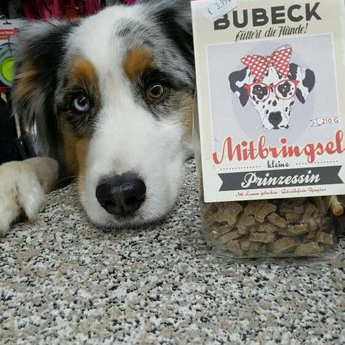Hundeauslaufgebiet-ZOOHAUS WENDEL-Bild