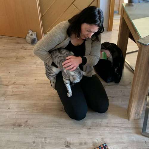 Hundeauslaufgebiet-Vikis mobile Tierbetreuung-Bild