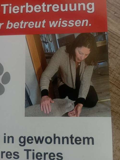 Hundeauslaufgebiet-Vikis mobile Tierbetreuung-Bild