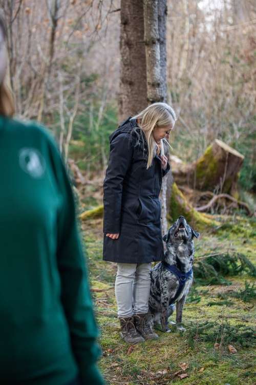 Hundeauslaufgebiet-Hundecoaching Du & Ich-Bild