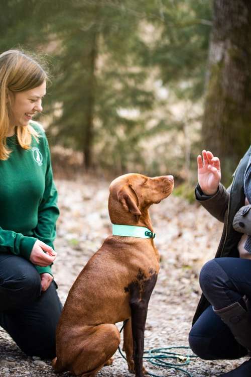 Hundeauslaufgebiet-Hundecoaching Du & Ich-Bild