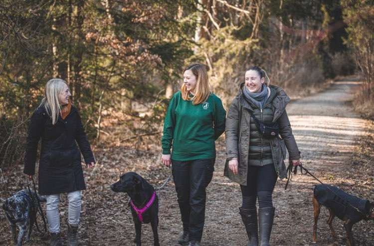 Hundeauslaufgebiet-Hundecoaching Du & Ich-Bild