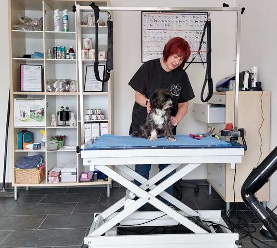 Hundeauslaufgebiet-NADDI‘S Tieroase Friseur und mehr-Bild