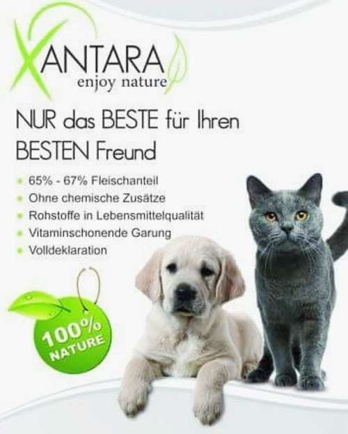 Hundeauslaufgebiet-NADDI‘S Tieroase Friseur und mehr-Bild