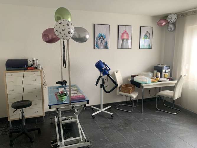 Hundeauslaufgebiet-NADDI‘S Tieroase Friseur und mehr-Bild