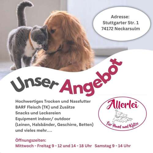 Hundeauslaufgebiet-Allerlei für Hund und Katze -Bild