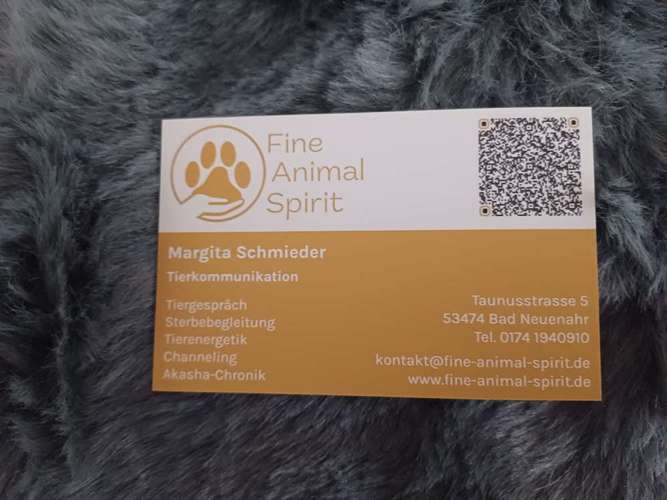 Hundeauslaufgebiet-Fine-animal-spirit.de Tierkommunikation und mehr-Bild