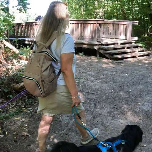 Hundeauslaufgebiet-Heiner Pfoten - Mobile Hundeschule-Bild