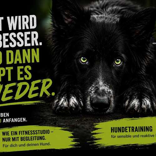 Hundeauslaufgebiet-Sensitiv-dogwork-Bild