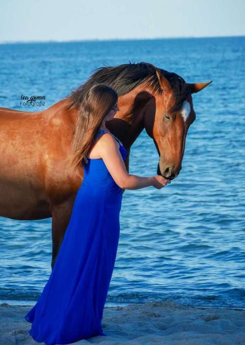 Hundeauslaufgebiet-Lea Grimm Fotografie-Bild
