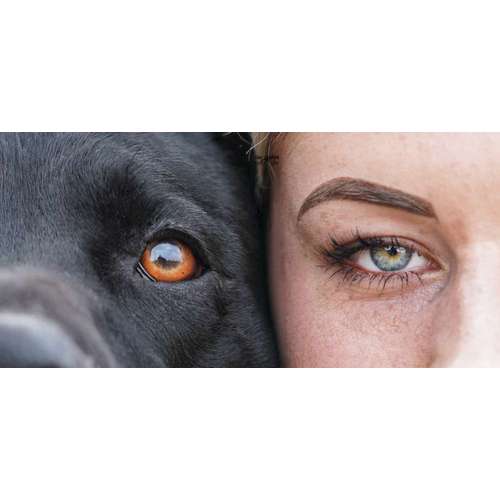 Hundeauslaufgebiet-Lea Grimm Fotografie-Bild