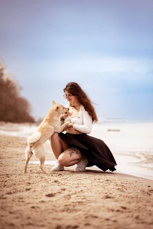 Hundeauslaufgebiet-Ninagrafie-Bild