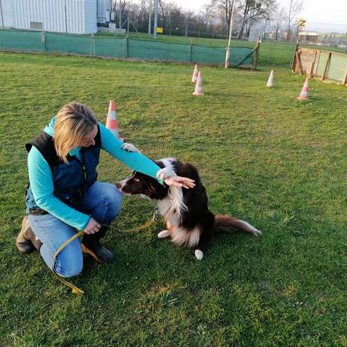 Hundeauslaufgebiet-SVÖ OG 155, Graz-West Pirka-Bild