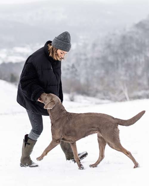 Hundeauslaufgebiet-KRAWALLKRALLEN-Bild