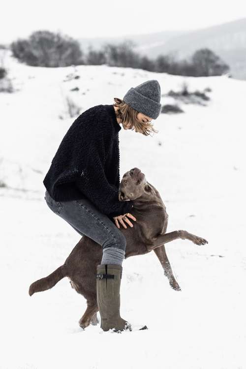 Hundeauslaufgebiet-KRAWALLKRALLEN-Bild