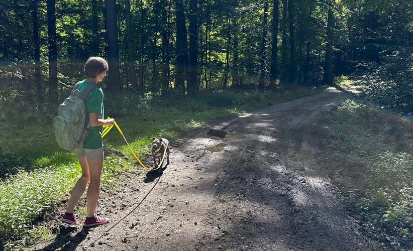 Hundeauslaufgebiet-Hundeschule Teamsache-Bild