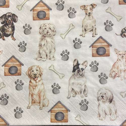 Hundeauslaufgebiet-Hundeschule und Touren Tanja Meinschäfer-Bild