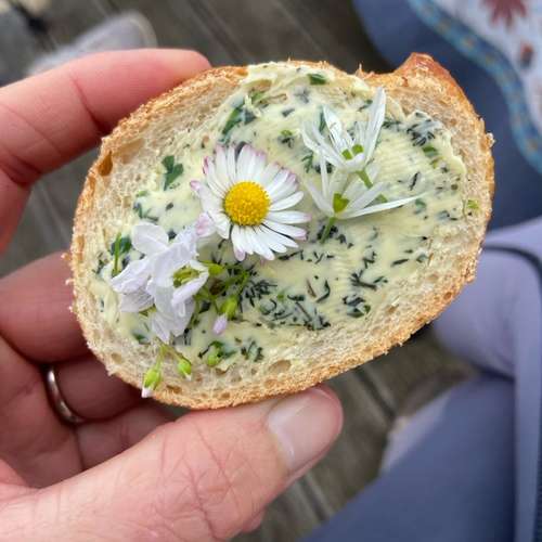 Hundeauslaufgebiet-Hundeschule und Touren Tanja Meinschäfer-Bild