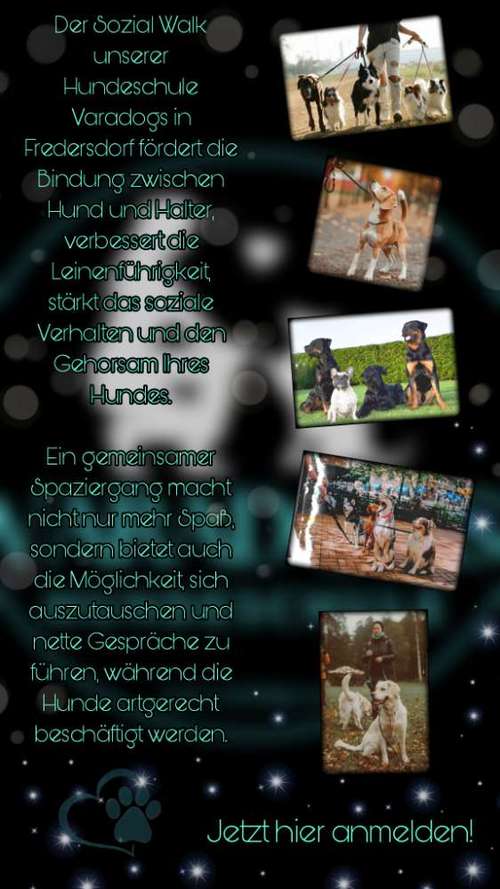 Hundeauslaufgebiet-Hundeschule Varadogs-Bild