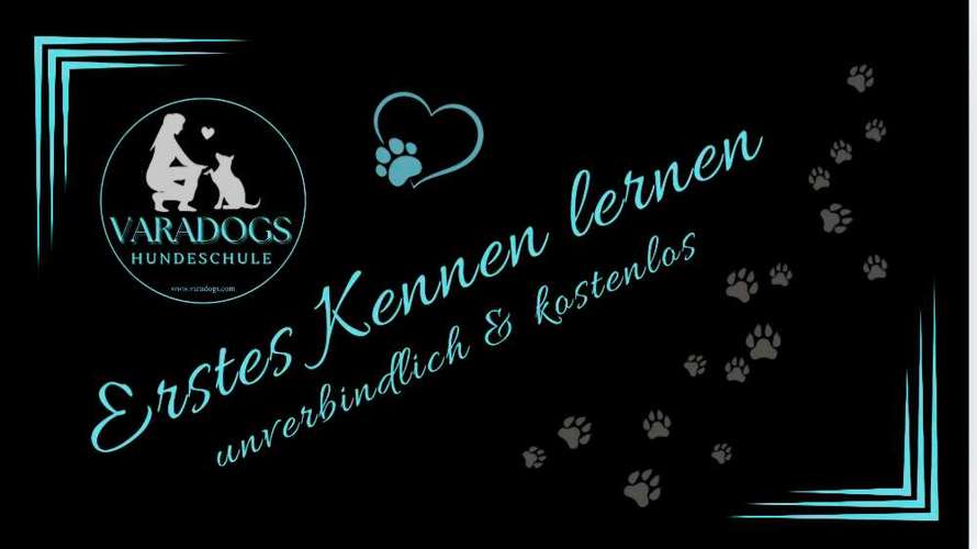 Hundeauslaufgebiet-Hundeschule Varadogs-Bild