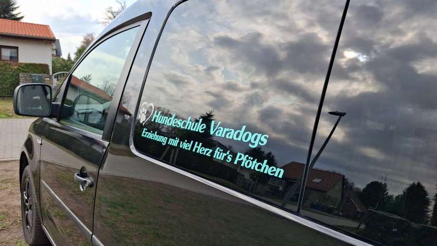 Hundeauslaufgebiet-Hundeschule Varadogs-Bild