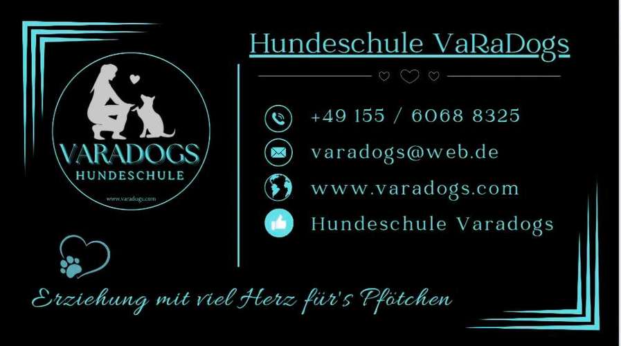 Hundeauslaufgebiet-Hundeschule Varadogs-Bild