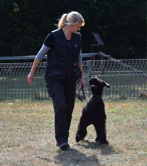 Hundeauslaufgebiet-Hundeschule Varadogs-Bild