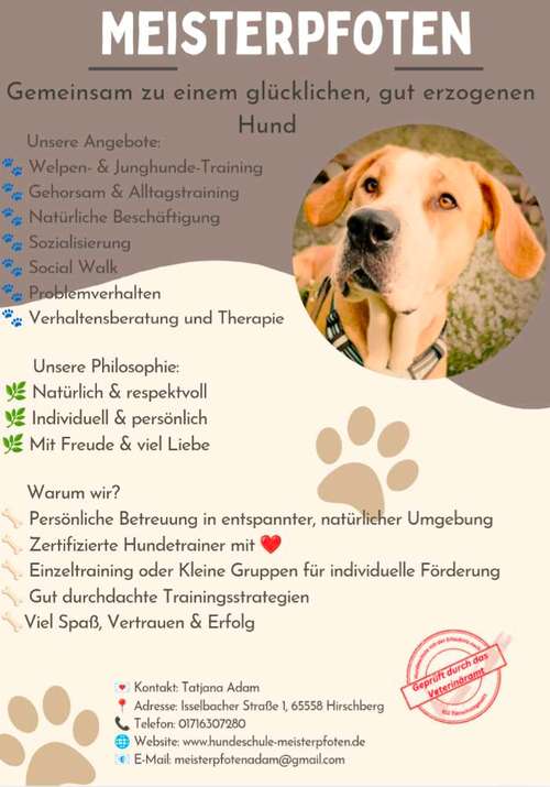 Hundeauslaufgebiet-Hundeschule Meisterpfoten-Bild