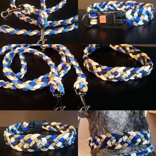 Hundeauslaufgebiet-Miri's Hunde & Katzen Salon-Bild