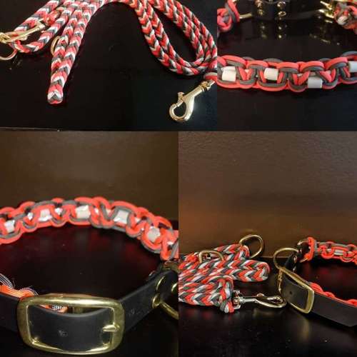 Hundeauslaufgebiet-Miri's Hunde & Katzen Salon-Bild