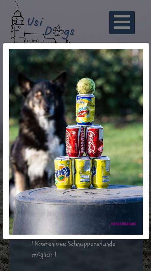 Hundeauslaufgebiet-Usi-Dogs-Bild