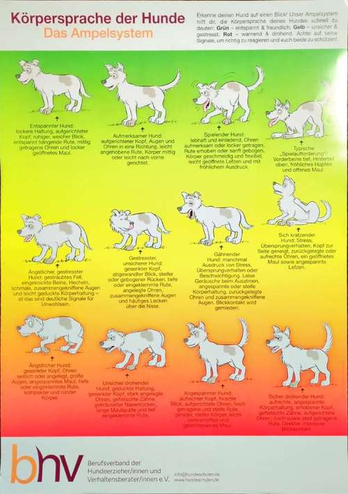 Hundeauslaufgebiet-Usi-Dogs-Bild