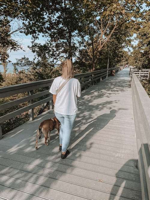 Hundeauslaufgebiet-Pfotenkompass - mobile Hundeschule -Bild