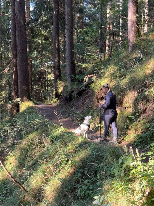 Hundeauslaufgebiet-Pfotenkompass - mobile Hundeschule -Bild