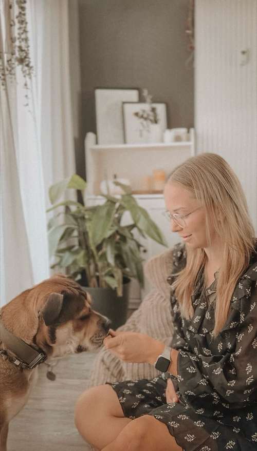 Hundeauslaufgebiet-Pfotenkompass - mobile Hundeschule -Bild